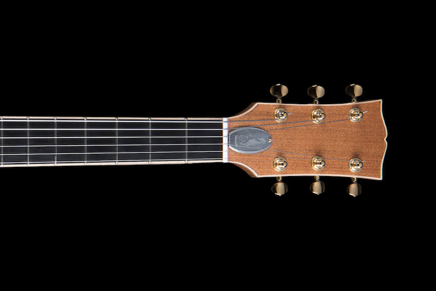 cookie-1-chitarra-archtop-acero-marezzato-liuteria Chitarra archtop jazz liuteria Shank Instruments Milano