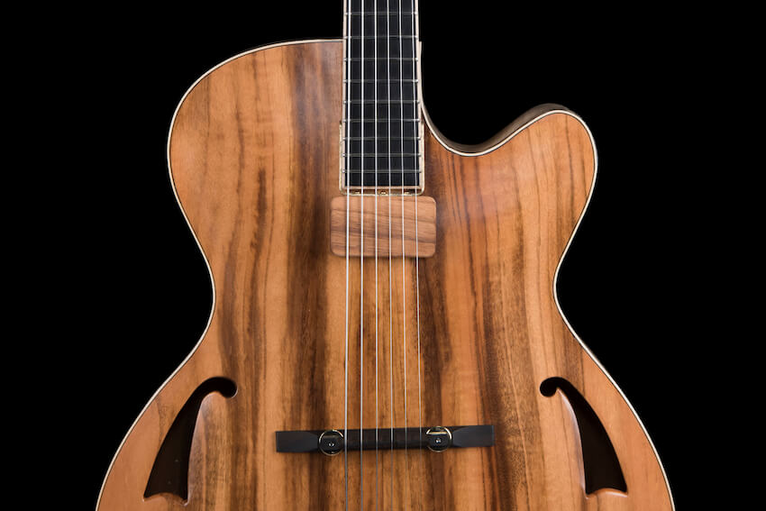 cookie-4-chitarra-archtop-acero-marezzato-liuteria Chitarra archtop jazz liuteria Shank Instruments Milano