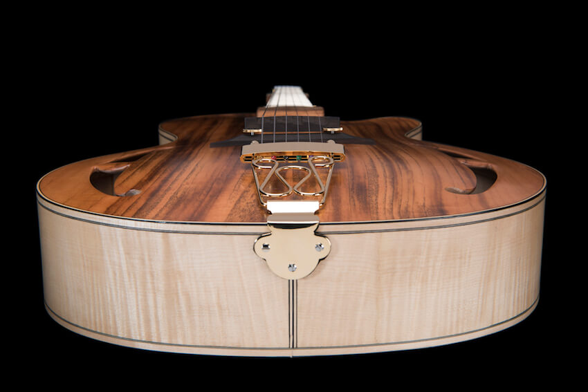 cookie-8-chitarra-archtop-acero-marezzato-liuteria Chitarra archtop jazz liuteria Shank Instruments Milano