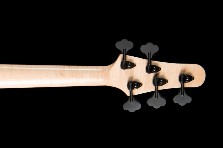 shiono-6-basso-elettrico-radica-pioppo shiono-basso-elettrico-radica-pioppo