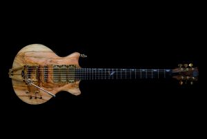 Shank Instruments liuteria milano