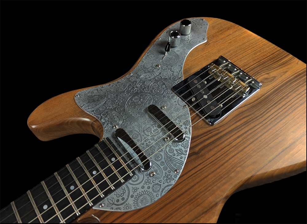 shank-instruments-milano-telecaster-liuteria-vendita-3-pickup