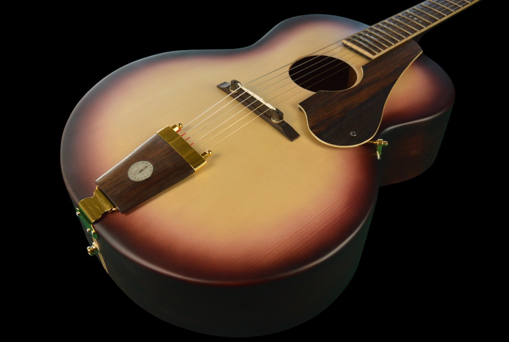 shank-instruments-milano-chitarra-acustica-archtop-liuteria-buca-centrale-vendita-ebano-abete