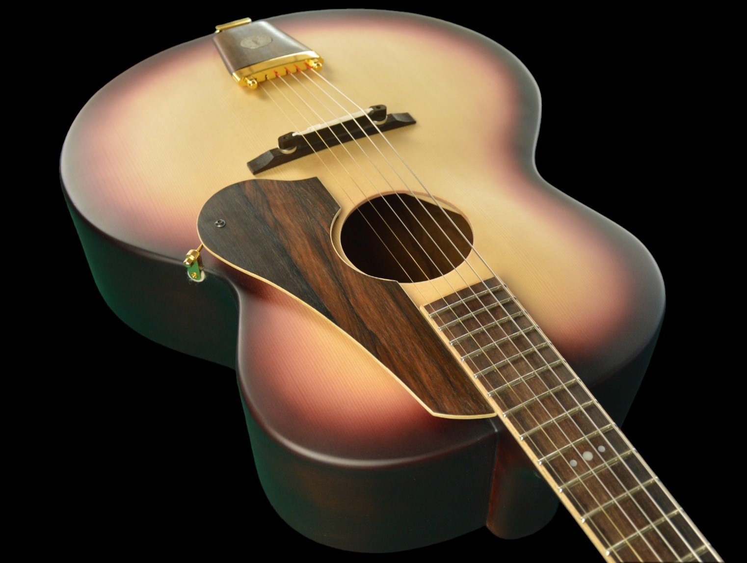 shank-instruments-milano-chitarra-acustica-archtop-liuteria-buca-centrale-vendita-emanuele-D'Alò