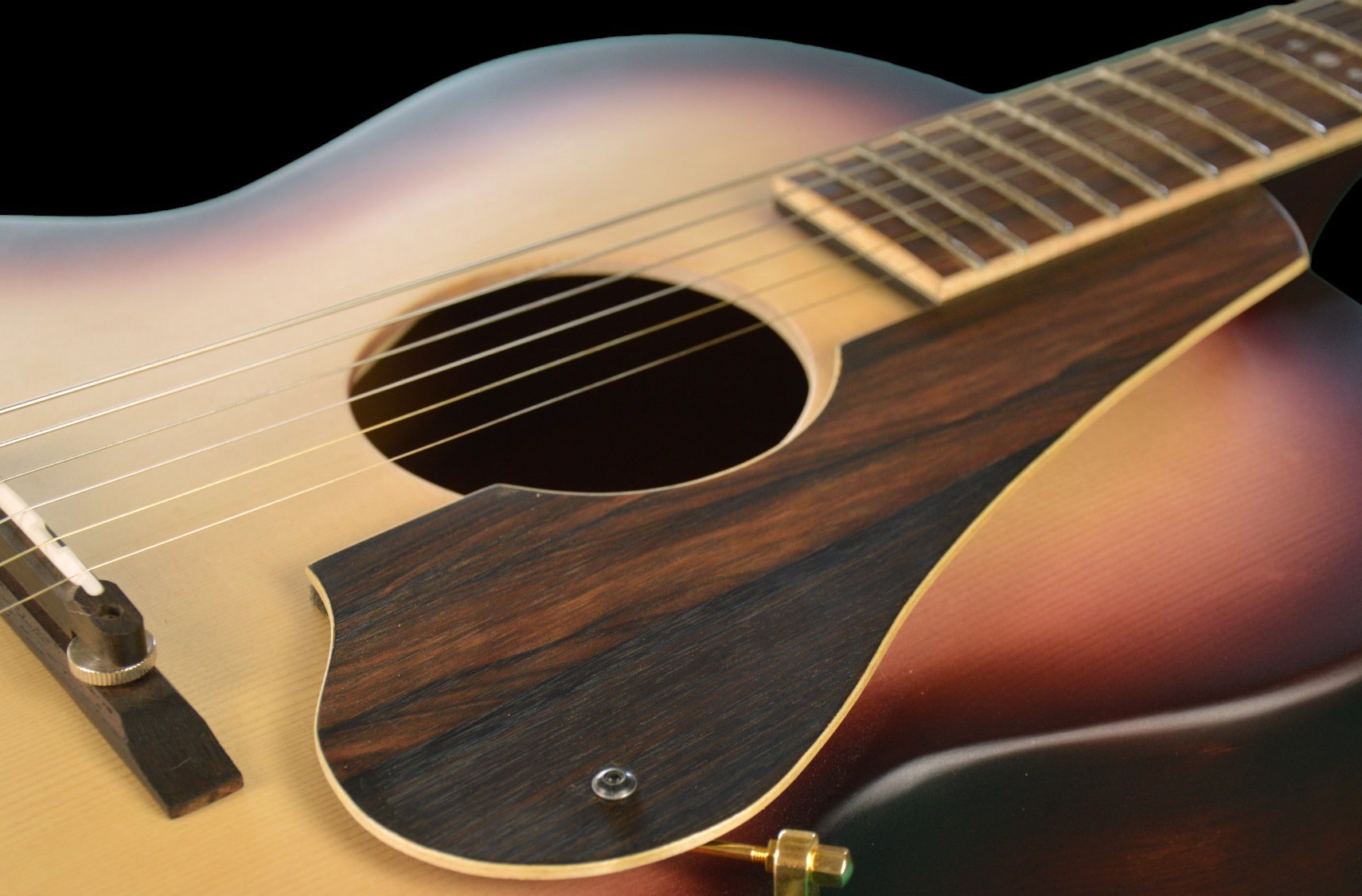 shank-instruments-milano-chitarra-acustica-archtop-liuteria-buca-centrale-vendita-ground-custom