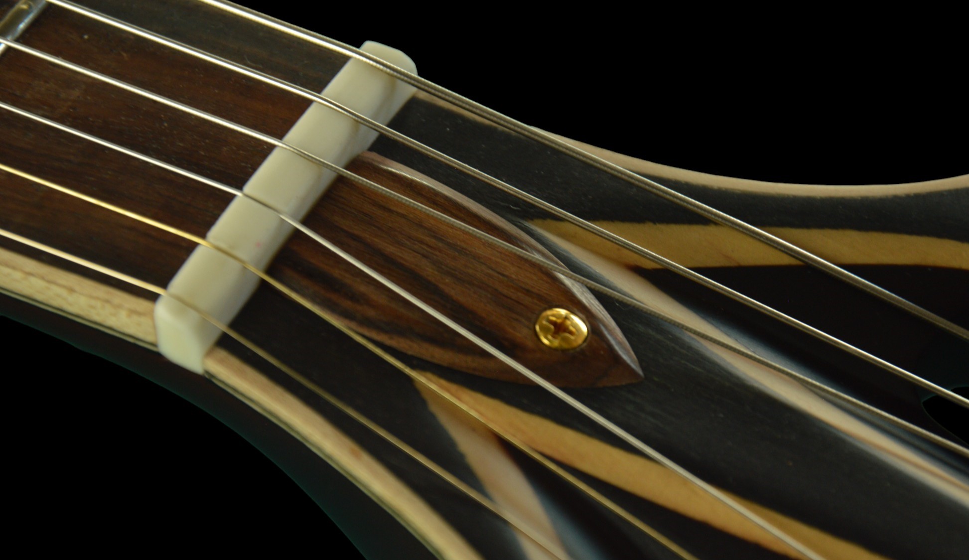 shank-instruments-milano-chitarra-acustica-archtop-liuteria-buca-centrale-vendita-osso
