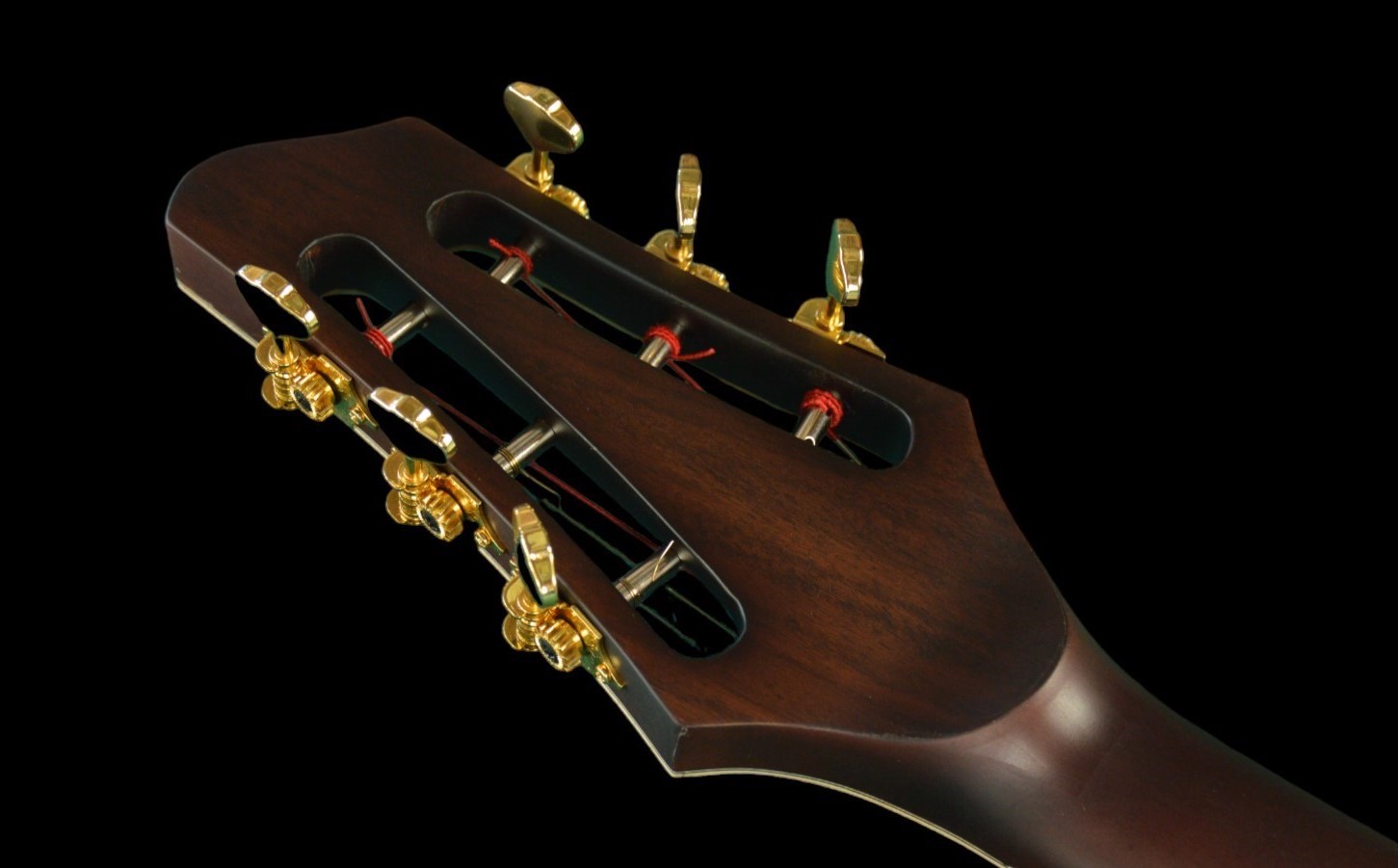 shank-instruments-milano-chitarra-acustica-archtop-liuteria-buca-centrale-vendita-paletta-slotted