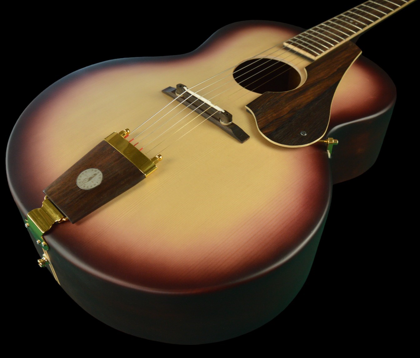shank-instruments-milano-chitarra-acustica-archtop-liuteria-buca-centrale-vendita