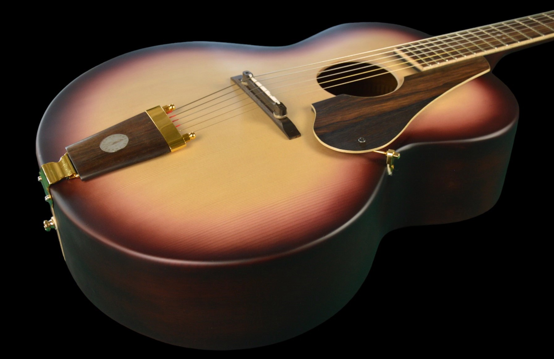 shank-instruments-milano-chitarra-jumbo-acustica-archtop-liuteria-buca-centrale-vendita