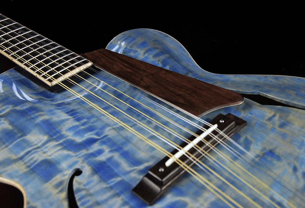 shank-instruments-chitarra-archtop-liuteria-12-corde-vendita-jazz-piezo