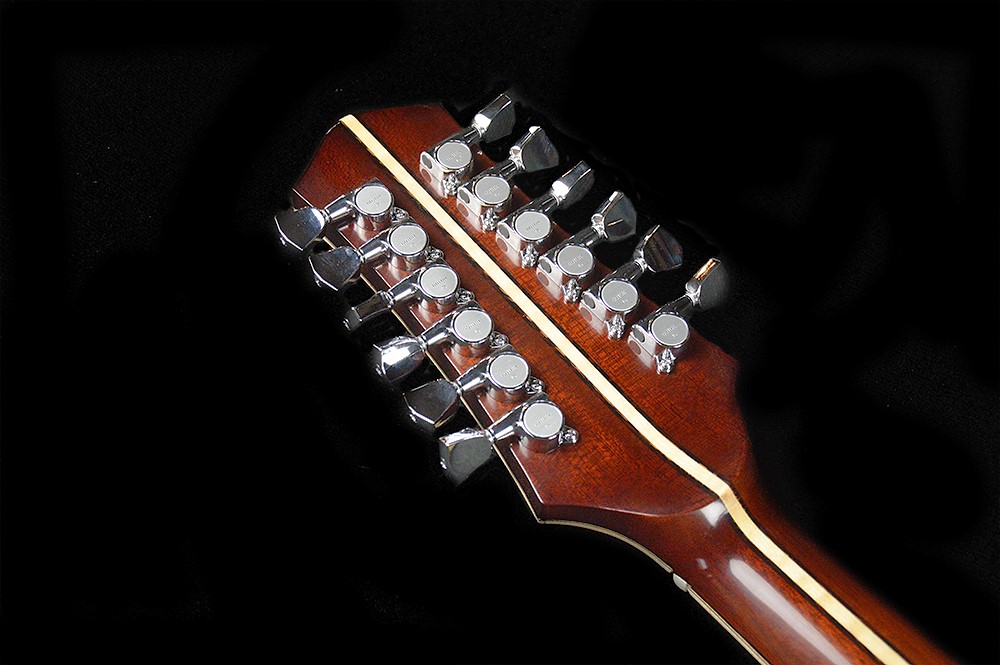 shank-instruments-chitarra-archtop-liuteria-12-corde-vendita-massello