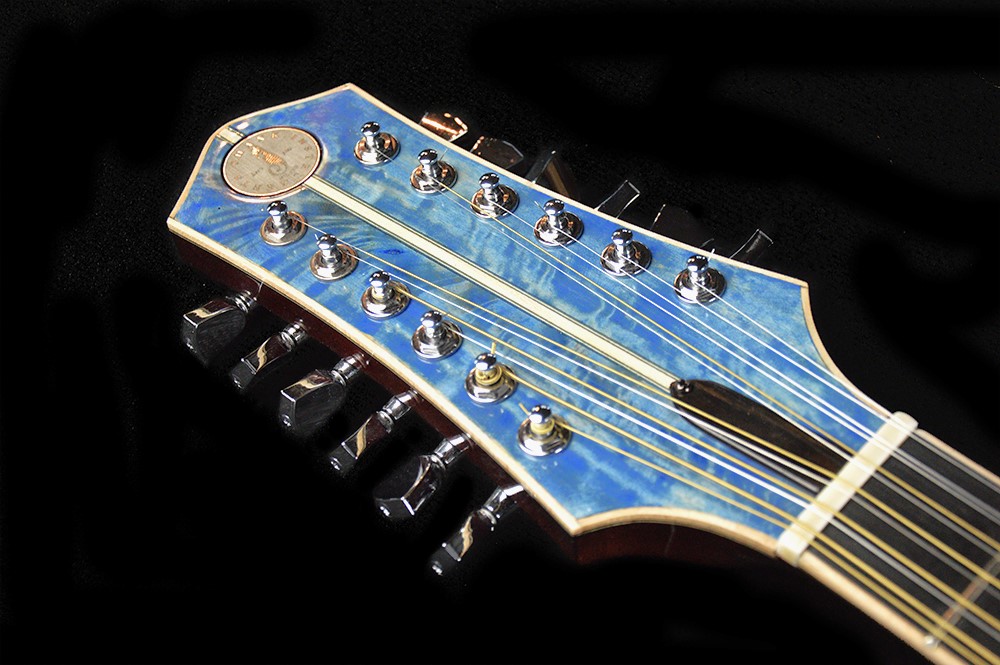 shank-instruments-milano-acoustic-12-strings-archtop-guitar-sale-blu