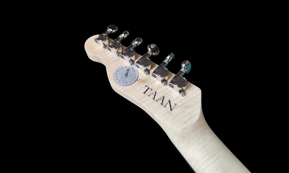 shank-instruments-telecaster-liuteria-thinline-nera-milano-emanuele-d'alò-ground-custom-chitarra-acero-fiammato-design