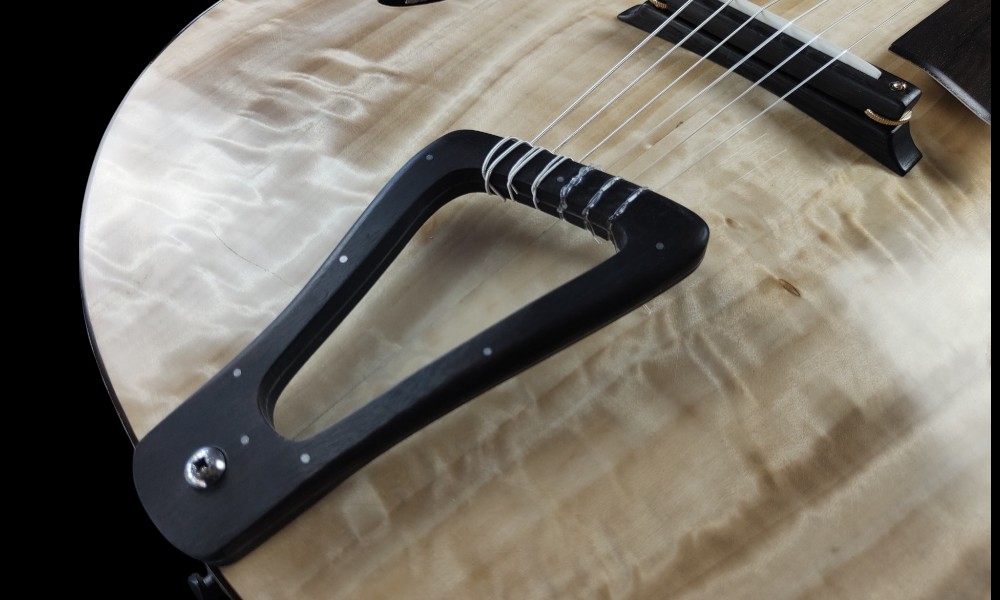 shank-instruments-chitarra-archtop-jazz-corde-nylon-liuteria-D'Alò