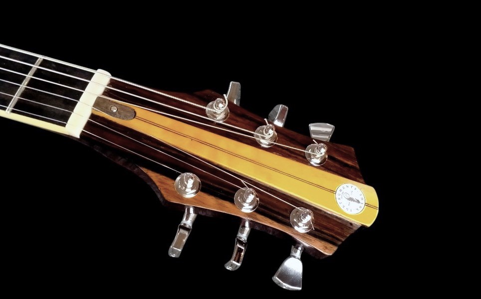 shank-instruments-milano-chitarra-elettrica-framus-panthera-replica-emanuele-D'Alò-paletta-custom