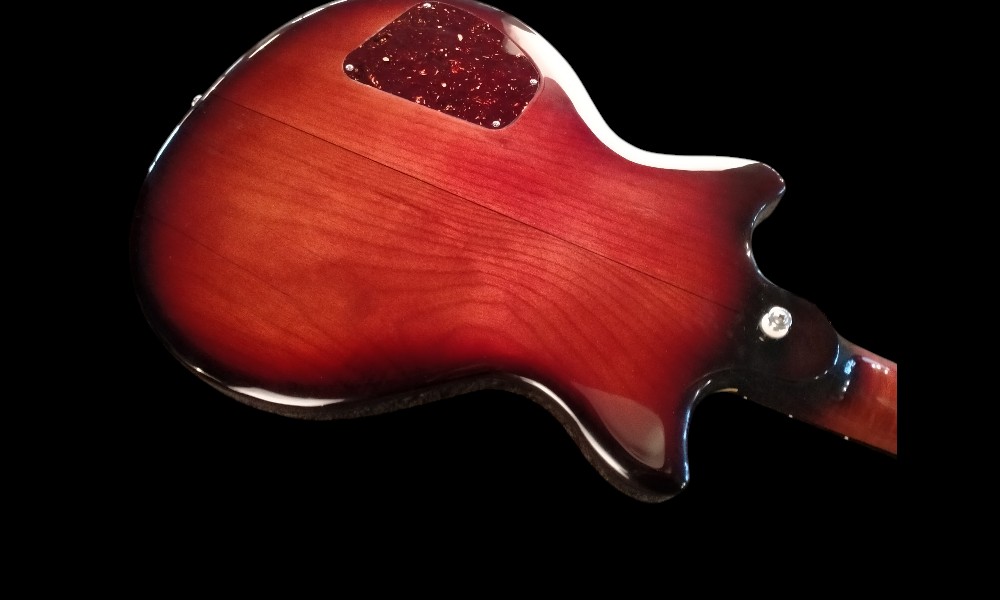 shank-instruments-chitarra-elettrica-liuteria-semihollow-acero-fiammato-vendita-frassino-swamp