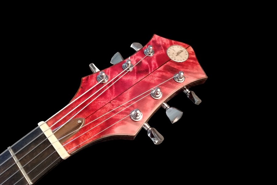 shank-instruments-milano-chitarra-archtop-jazz-liuteria-vendita-paletta